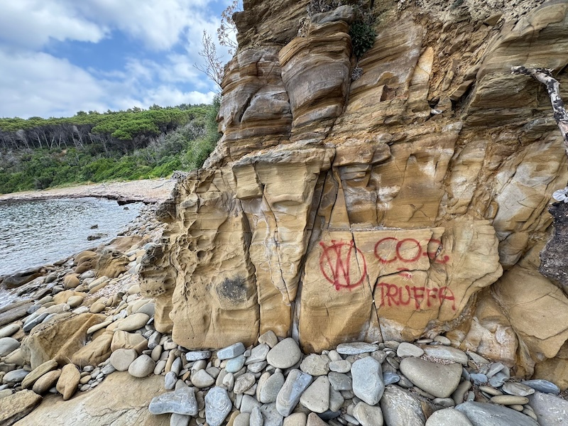 Vandalismi imbrattano rocce e alberi a Cala Martina: la condanna del Comune di Scarlinom
