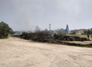 Incendio all’ex Saffa di Fucecchio: fiamme tra le sterpaglie, intervento dei vigili del fuoco