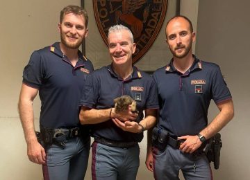 Gattino intrappolato nel motore della Polstrada, gli agenti lo consegnano agli Aristogatti