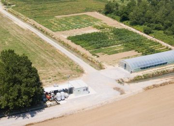 Agricoltura: Martino Rossi in prima linea per l'innovazione sostenibile con progetti sperimentali