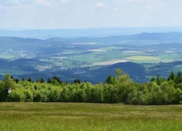 Approvato il bando da un milione di euro per valorizzare l'ecosistema delle aree montane.