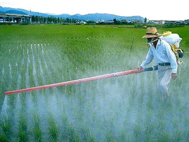 Campi Bisenzio vieta l'uso del glifosato con un'ordinanza firmata dal Sindaco