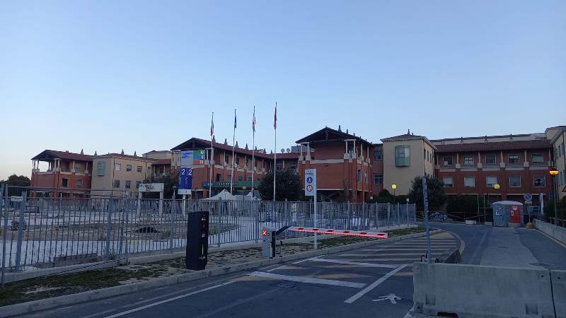 Cane di famiglia morde al volto un uomo di 50 anni, trasportato in ospedale