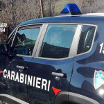 Cucciola di pastore tedesco abbandonata senza cibo né acqua: denunciate tre persone
