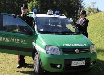 Dipendente di un'azienda agricola denunciato per incendio boschivo colposo