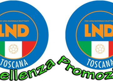 Eccellenza e Promozione partono il 14 settembre.