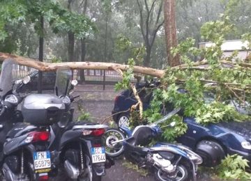 Maltempo a Firenze: Allagamenti e danni al verde pubblico dopo un forte temporale