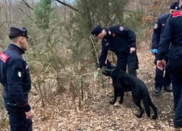 Mugello: Hashish nascosto sotto la legna, arrestato un 45enne a Sant'Agata