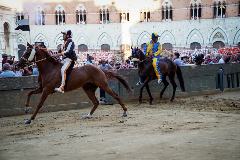 Palio del 2 luglio: La Lupa conquista la terza prova