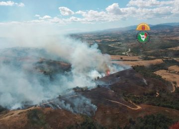 Tre incendi nel Grossetano: fiamme a Scansano e Roccastrada