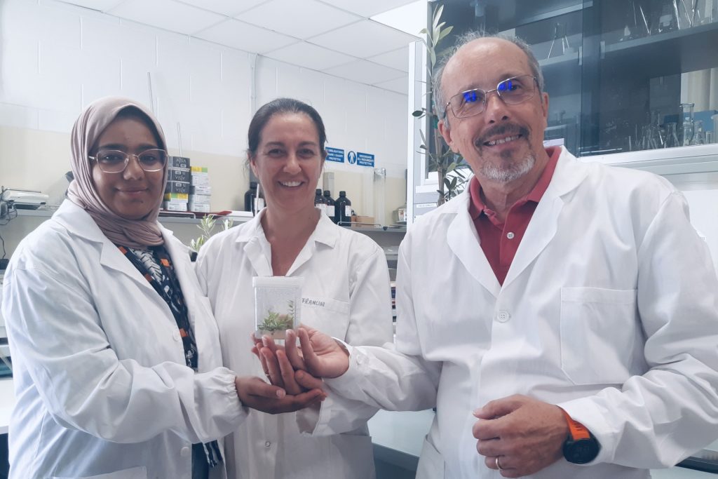 Una nuova prospettiva per l'agricoltura italiana grazie a uno studio della Sant'Anna