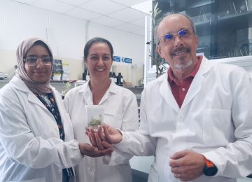 Una nuova prospettiva per l'agricoltura italiana grazie a uno studio della Sant'Anna