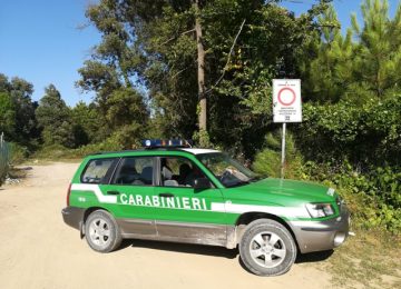 Veicoli abbandonati: continua la battaglia dei forestali