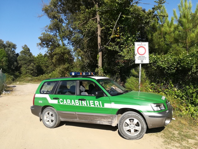 Veicoli abbandonati: continua la battaglia dei forestali