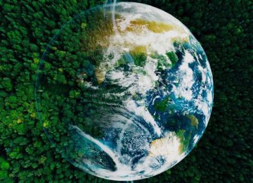 Rifiuti Elettronici: LG e Cobat RAEE Sostenitori del Recupero Responsabile