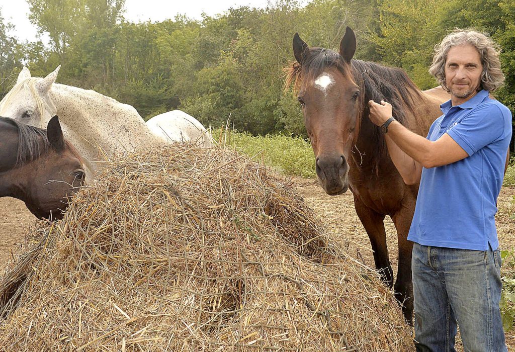 A.I.P.A. riceve il “Premio Animali in Città 2025” per il suo impegno nella protezione degli equidi in ambiente urbano