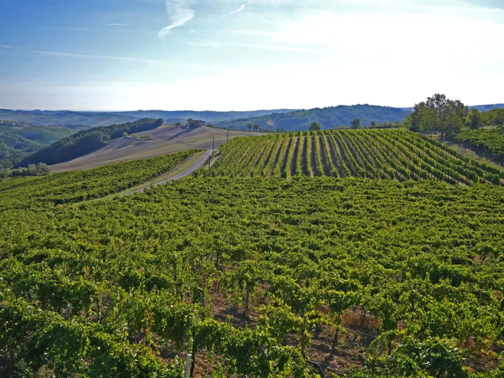 Ad agosto, Agea ha erogato oltre 141 milioni di euro alle imprese agricole