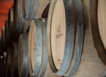 Con Santa Tresa riemerge il vitigno siciliano 'scomparso' Orisini.