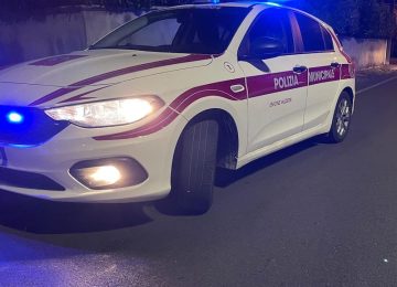 Due gattini abbandonati tra i rifiuti organici: drammatica scoperta a Calcinai.