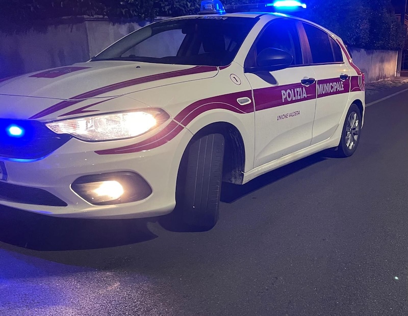 Due gattini abbandonati tra i rifiuti organici: drammatica scoperta a Calcinai.