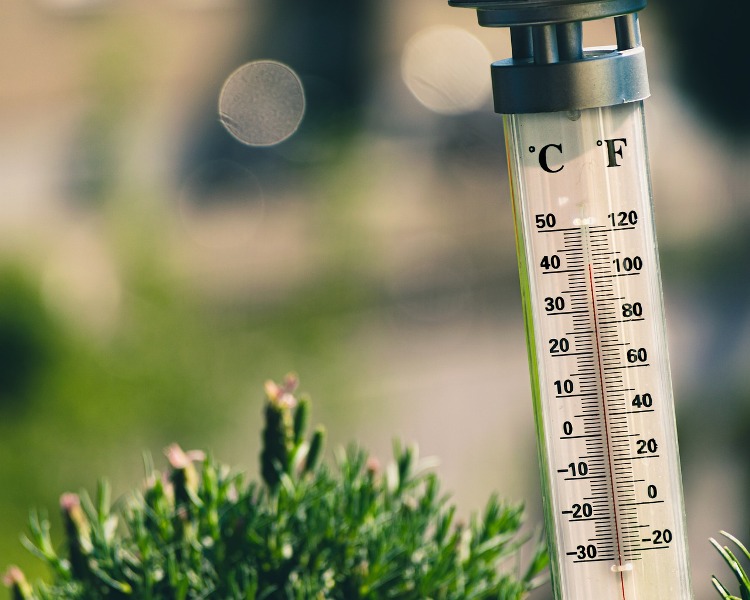 È tornato il caldo: allerta arancione a Firenze