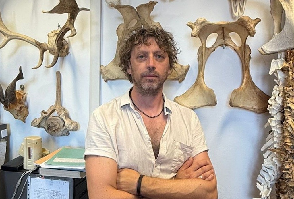 I Sensi e gli Animali attraverso i Secoli: Studi Archeozoologici su Città e Palio