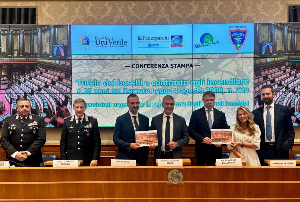 Incendi boschivi: oltre 117.509 reati penali registrati dal 2000 al 2024