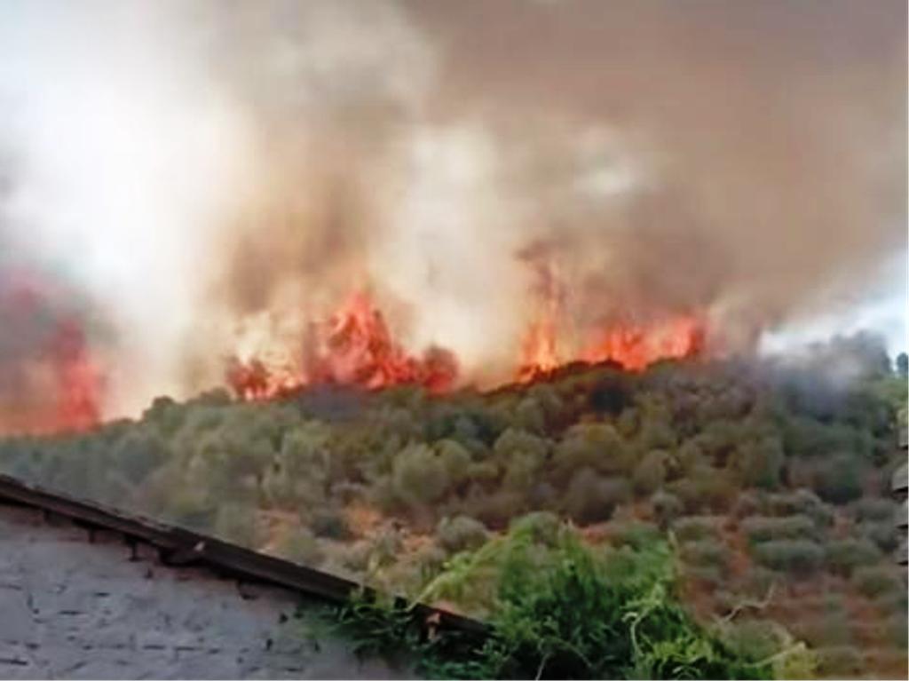 Incendio a Piano di Conca: chiusa la strada Sarzanese, il vento complica le operazioni.