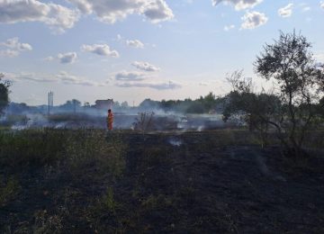 Incendio di sterpaglie ad Avane: fiamme spente poco prima delle abitazioni