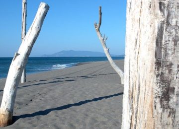 Insulti omofobi sulla navetta per la spiaggia: la denuncia di Capalbio