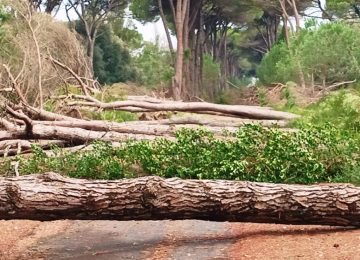 Maltempo in Toscana: danni ad Arezzo e Pisa, temporali in arrivo sulla costa