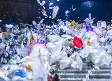 Massa Carrara: Approvati in Prefettura i Piani di Emergenza Esterna per Quattro Impianti di Rifiuti