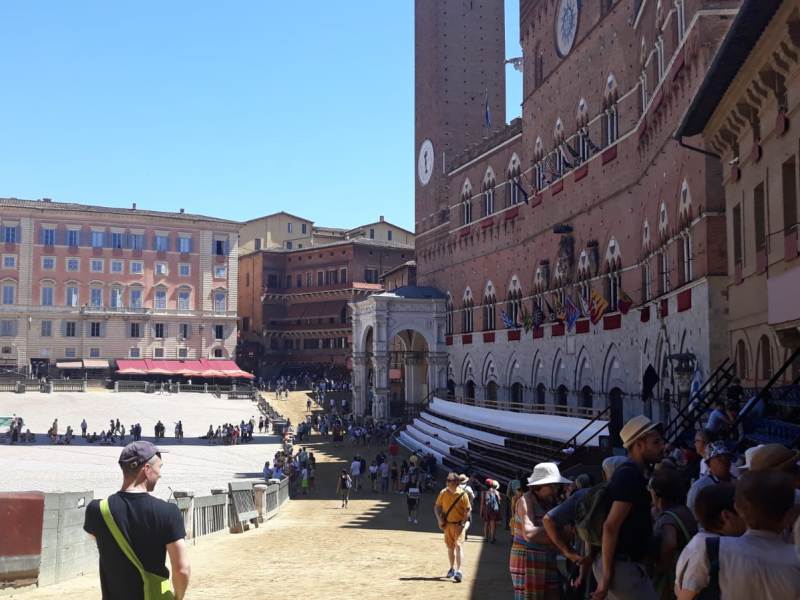 Palio di Siena: scopri i dieci cavalli che prenderanno parte alla Carriera