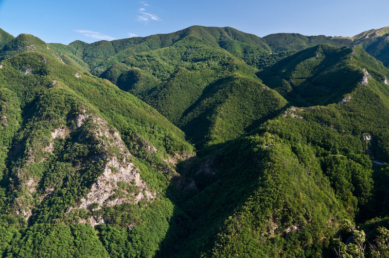 Per tre aree interne, 900 mila euro di risorse aggiuntive: Giani sottolinea l'impegno per uno sviluppo equilibrato dei territori