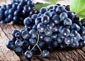 Tutti gli eventi a Impruneta per la Festa dell'Uva