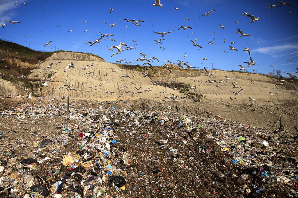 Perché paghiamo di più per acqua e rifiuti: il parere del Comitato per la Trasparenza