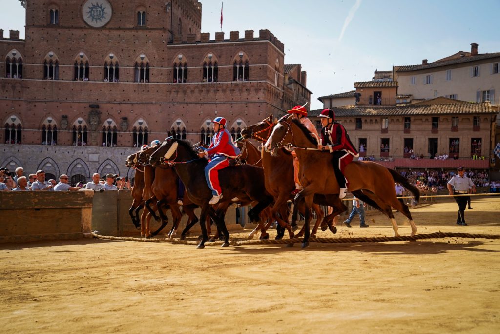 rewrite this title Palio di Siena, i cavalli ammessi alla Trattain Italian