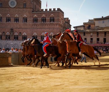 rewrite this title Palio di Siena, i cavalli ammessi alla Trattain Italian