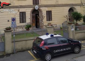 Acquista una box per cani, ma è una truffa online