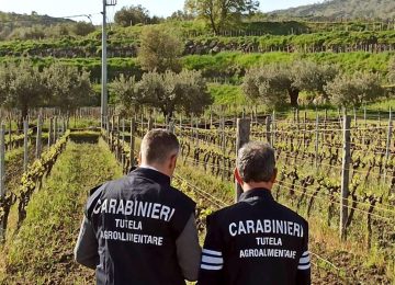 German company sold fake "Zibibbo di Pantelleria," 5,000 liters of wine seized