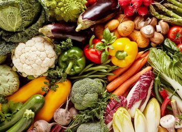 I Giovani Ritorna in Campagna: Le Storie dei 'Nuovi Contadini' tra Fucecchio e Versilia