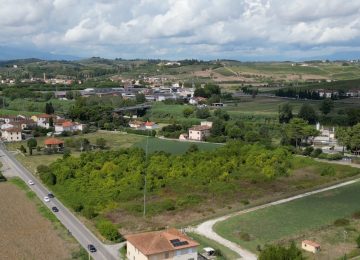 Identificata l'area per il nuovo gattile di Empoli