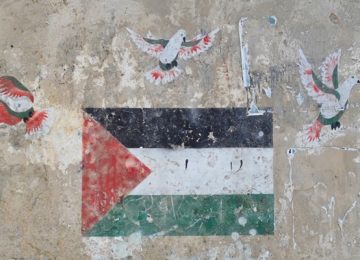 Lettera al Presidente: L’Appello di Tommaso Fattori contro le Violazioni dei Diritti Umani in Palestina