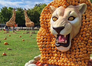 Ritorna il Regno delle Zucche: sei weekend di divertimento a Campi Bisenzio!