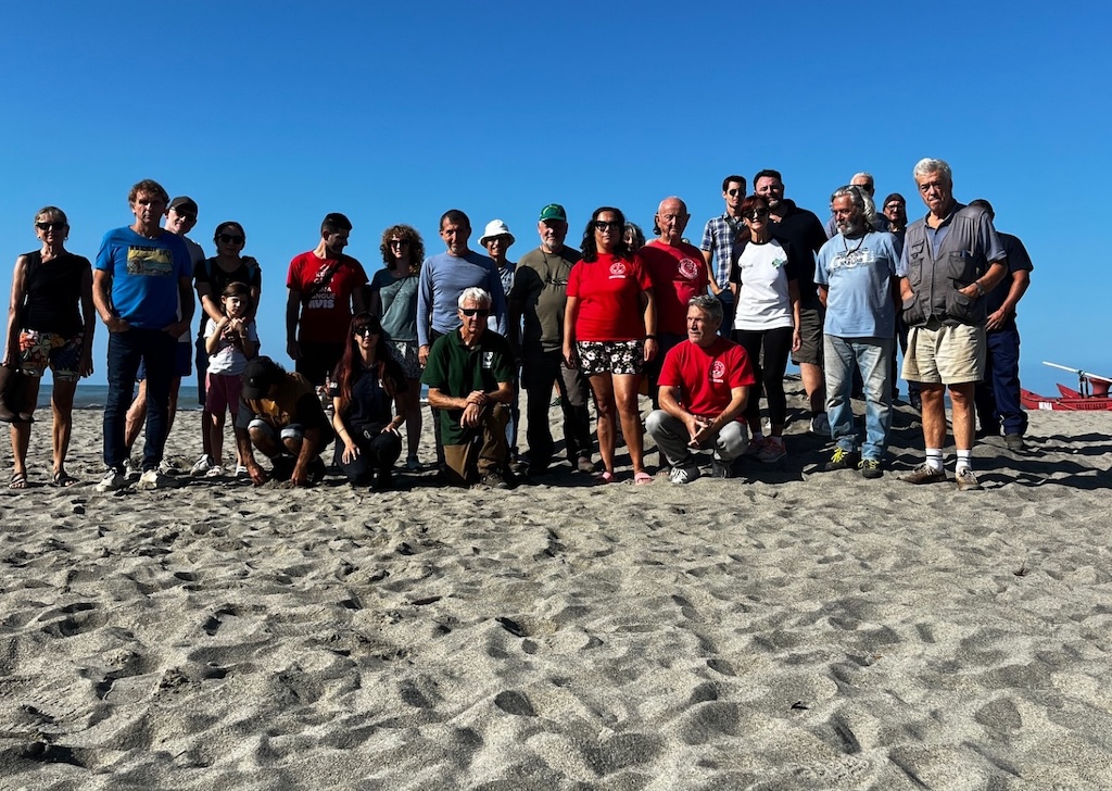 Volontari e volontarie ripuliscono i nidi di Caretta caretta a Poveromo