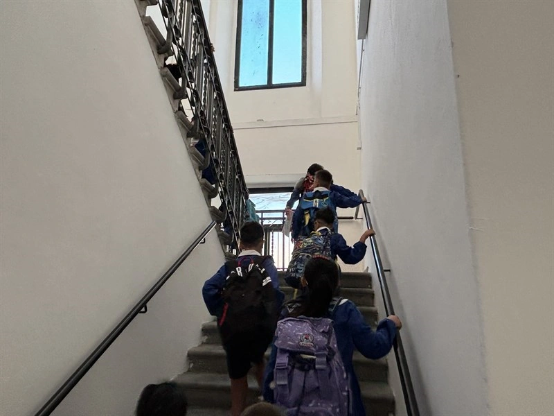 La scuola rinnovata