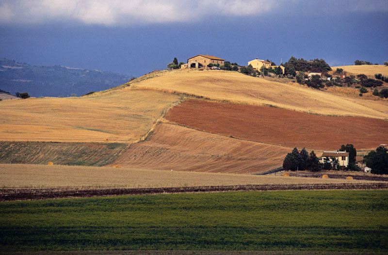 Agricoltura: la Toscana investe 12,5 milioni nei Gruppi Operativi PEI
