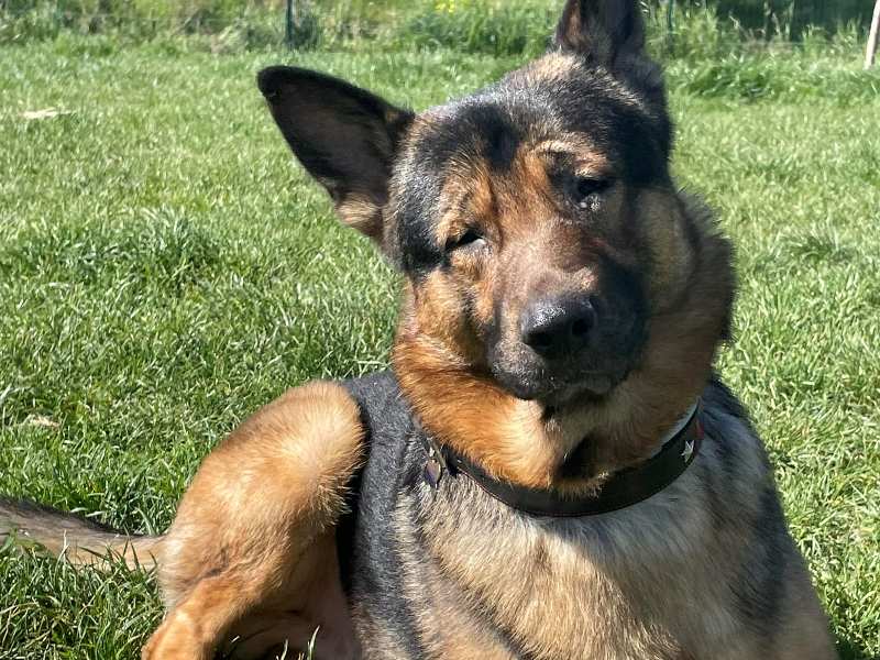 Aoup: Circa trenta donazioni di sangue con un testimonial d'eccezione