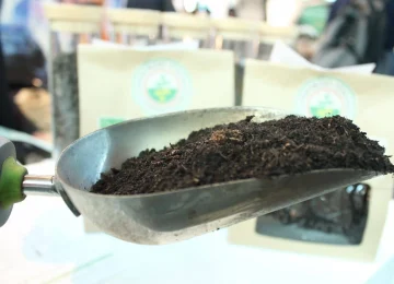 Biowaste: I Dati sul Riciclo dell'Organico