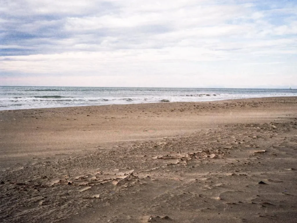 Entro il 2050, una spiaggia su cinque potrebbe scomparire: allerta in Italia e report dettagliato